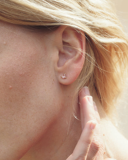 Náušnice Rose Vera, stříbro 925/1000, pozlacené